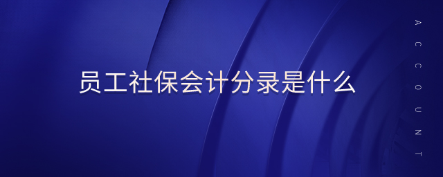 員工社保會(huì)計(jì)分錄是什么