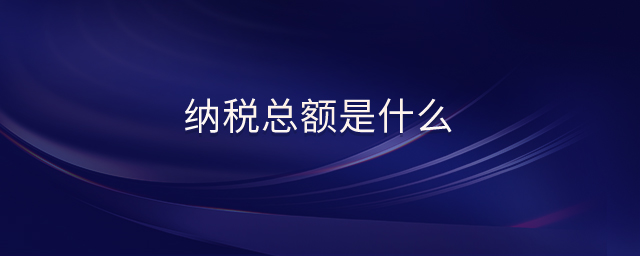 納稅總額是什么