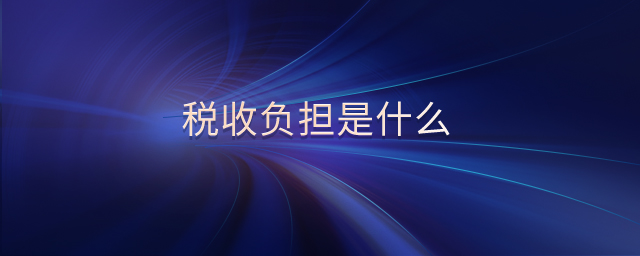稅收負(fù)擔(dān)是什么