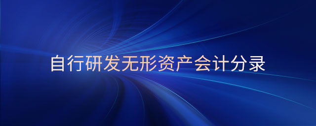 自行研發(fā)無形資產(chǎn)會計分錄 自行研發(fā)無形資產(chǎn)會計分錄