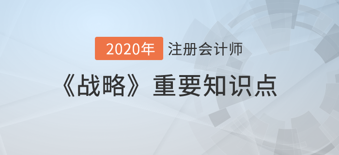 公司治理概述_2020年注冊會計師《戰(zhàn)略》重要知識點