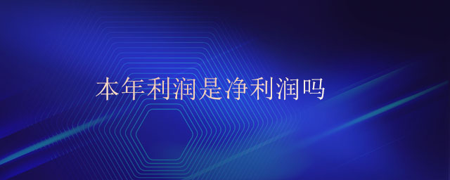 本年利潤是凈利潤嗎 本年利潤是凈利潤嗎