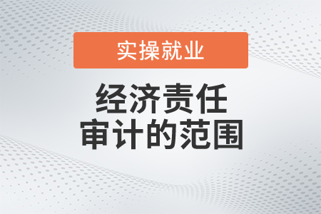 經(jīng)濟(jì)責(zé)任審計(jì)的范圍都是什么？