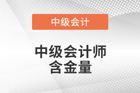 廣東省珠海中級(jí)會(huì)計(jì)師含金量高嗎
