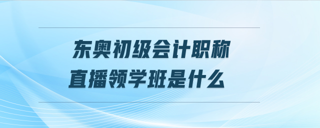 東奧初級會計職稱直播領(lǐng)學(xué)班是什么 東奧初級會計職稱直播領(lǐng)學(xué)班是什么