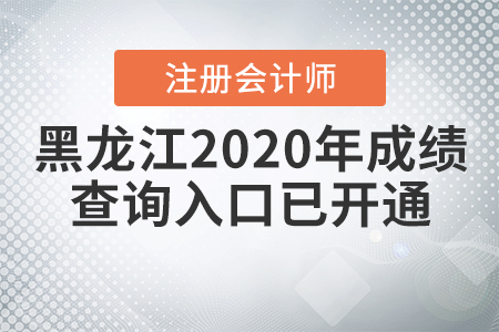 黑龍江2020年注冊(cè)會(huì)計(jì)師成績(jī)查詢?nèi)肟谝验_通