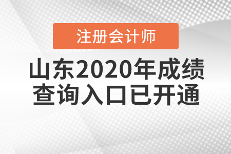 山東2020年注冊(cè)會(huì)計(jì)師成績(jī)查詢(xún)?nèi)肟谝验_(kāi)通