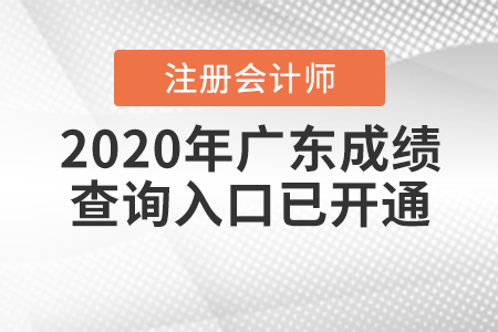 廣東2020年注冊會(huì)計(jì)師成績查詢?nèi)肟谝验_通