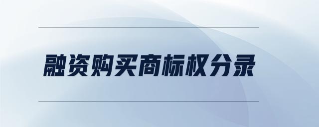 融資購買商標(biāo)權(quán)分錄