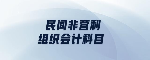 民間非營利組織會(huì)計(jì)科目