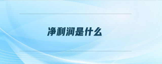 凈利潤是什么 凈利潤是什么