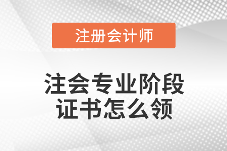 注會專業(yè)階段證書怎么領
