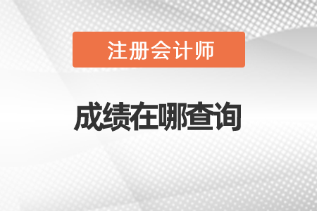 2020年注冊(cè)會(huì)計(jì)師成績(jī)?cè)谀牟樵?xún)