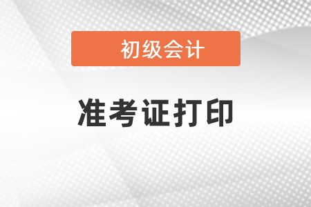 福建省龍巖2021年初級會計準(zhǔn)考證打印時間出了嗎？