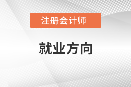 注冊會(huì)計(jì)師就業(yè)方向