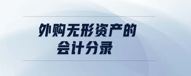 外購(gòu)無(wú)形資產(chǎn)的會(huì)計(jì)分錄