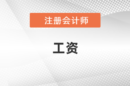 注冊會(huì)計(jì)師工資有多少？