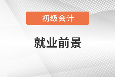 初級(jí)會(huì)計(jì)就業(yè)前景
