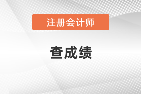 2020年注冊會計師考試查成績