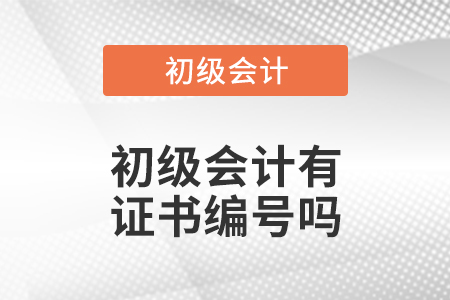 初級(jí)會(huì)計(jì)有證書編號(hào)嗎