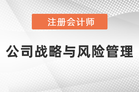 注冊會計師戰(zhàn)略考試題型及分數(shù)