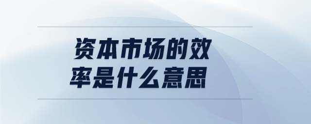資本市場的效率是什么意思