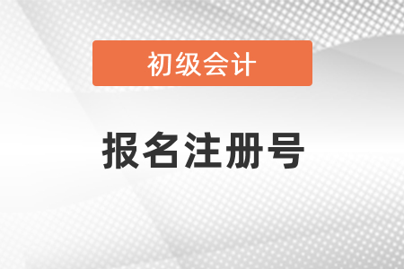 初級會計考試報名注冊號忘了怎么辦？