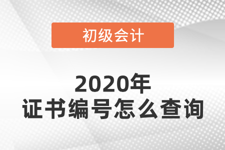 2020年初級會計證書編號怎么查詢