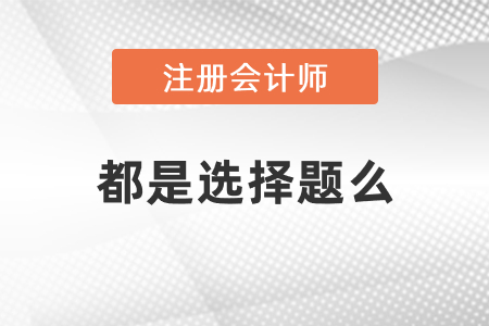 注冊(cè)會(huì)計(jì)師考試都是選擇題么