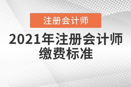 2021年注冊會計師繳費標準