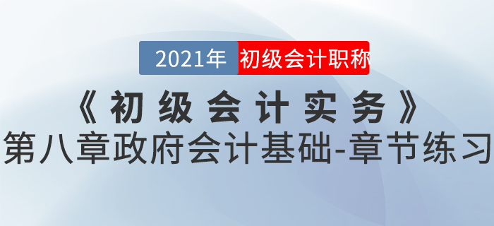 2021年《初級會計實務(wù)》第八章政府會計基礎(chǔ)-章節(jié)練習(xí) 2021年《初級會計實務(wù)》第八章政府會計基礎(chǔ)-章節(jié)練習(xí)