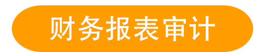 財務(wù)報表審計