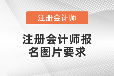 注冊會計師報名圖片要求