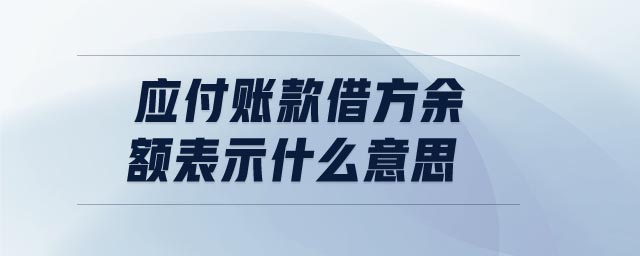 應付賬款借方余額表示什么意思
