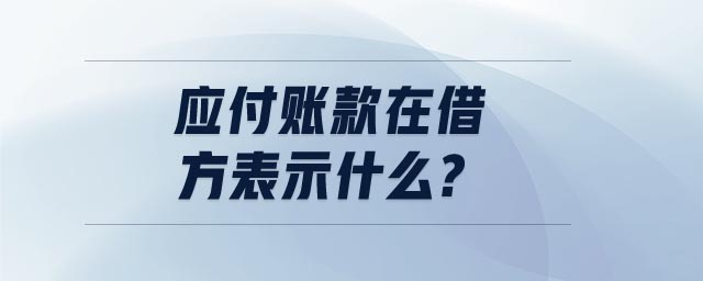 應(yīng)付賬款在借方表示什么 應(yīng)付賬款在借方表示什么
