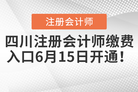 四川省達(dá)州注冊會計師繳費入口6月15日開通！