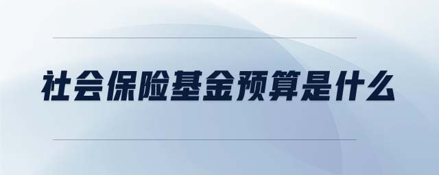 社會保險基金預(yù)算是什么
