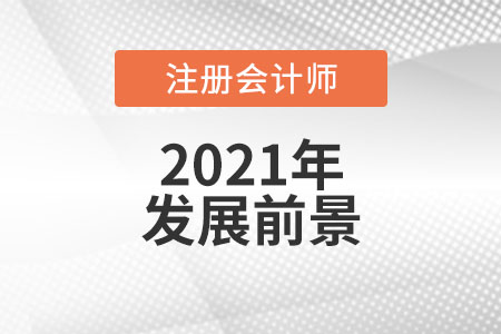 注冊(cè)會(huì)計(jì)師發(fā)展前景怎么樣