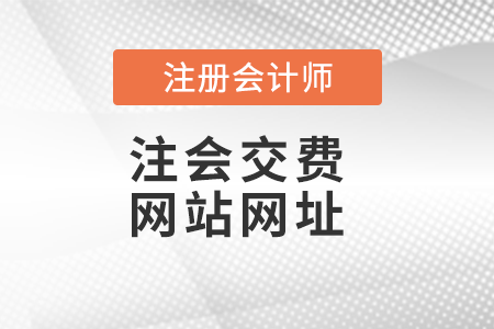 注會(huì)交費(fèi)網(wǎng)站網(wǎng)址