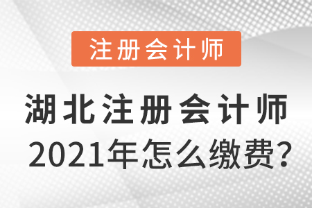 湖北省武漢2021年注冊(cè)會(huì)計(jì)師怎么繳費(fèi)？