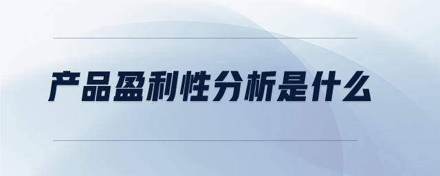 產(chǎn)品盈利性分析是什么