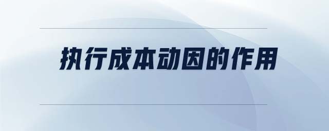 執(zhí)行成本動因的作用 執(zhí)行成本動因的作用
