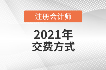注冊(cè)會(huì)計(jì)師繳費(fèi)方式都有哪些