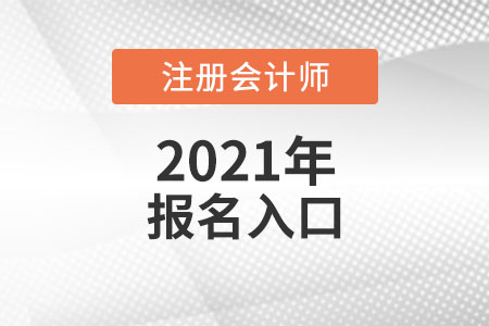 2021年注會報名入口是什么