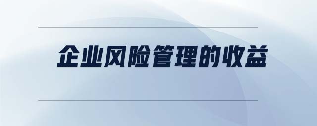企業(yè)風險管理的收益