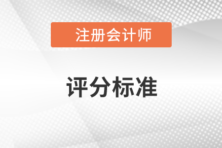 注會試題評分標準是什么？