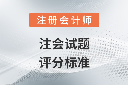 注會(huì)試題評(píng)分標(biāo)準(zhǔn)
