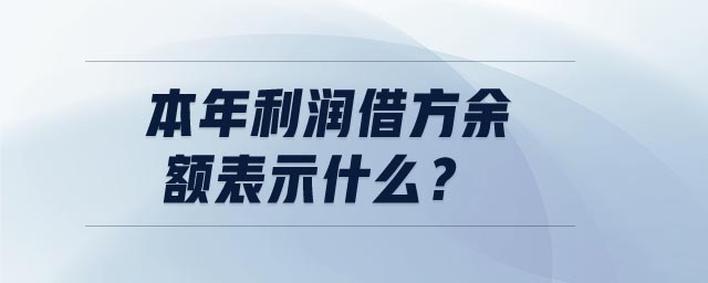 本年利潤(rùn)借方余額表示什么 本年利潤(rùn)借方余額表示什么