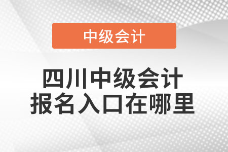 四川省樂山中級會計報名入口在哪里