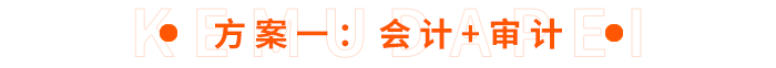方案一：會計+審計